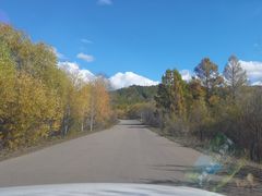 -莫尔道嘎国家森林公园