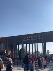 -季高兔窝窝亲子园(上海薰衣草公园店)