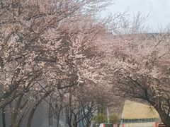 -国际非物质文化遗产博览园
