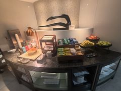 -虹桥机场国航贵宾室v8