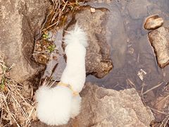 -湖洞水自然风景区