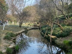 -杭州黄龙洞