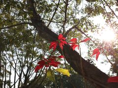 -长洲岛都市农业公园