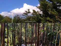 -火炉山森林公园