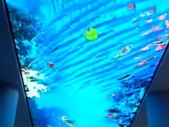 -解放路步行街                