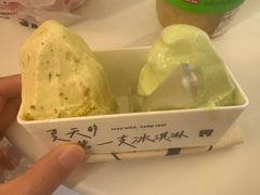 -野人先生现做冰淇淋(北京王府井东方新天地店)