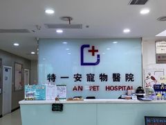 -特一安24小时宠物医院·骨科·中兽医