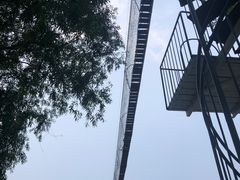 -北戴河集发农业梦想王国