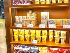 -奈雪的茶(东莞汇一城店)