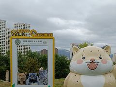 -青藏高原野生动物园
