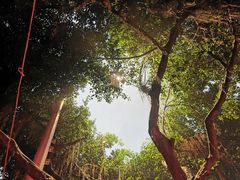 -徐妹串串香(春熙路店)