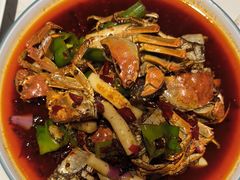 -杨氏青龙虾·羊蝎子(托乐嘉店)