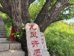-牛背梁国家森林公园