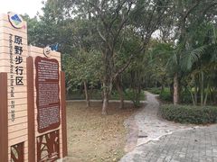 -大湾区中央湿地公园