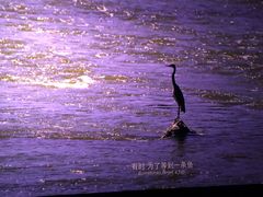 -奥斯卡西元国际影城(4K激光巨幕&杜比全景声沙发座椅)