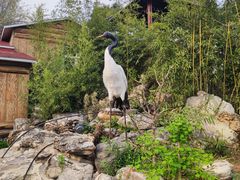 -丽泽山庄·生态怀柔菜·虹鳟鱼(红螺寺店)