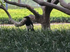 -白塘生态植物园