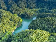 -缙云山景区