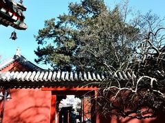 -北京艺术博物馆(万寿寺)