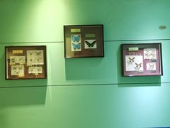 -上海大自然野生昆虫馆(东方明珠·爬宠昆虫探索中心)