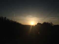 iphone_upload_pic-上海鲜花港