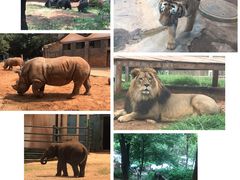 -昆明动物园