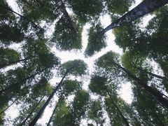 -山王坪喀斯特国家生态公园