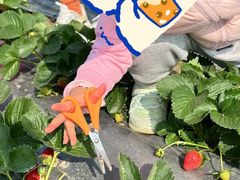 -新地休闲农场