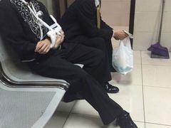 星河湾酒店(浦东店)-上海浦东星河湾酒店