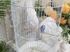 -共舞时光猫咖·狗咖(新街口店)