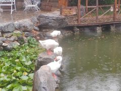 -天毓山庄·餐厅