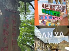 -亚龙湾热带天堂森林公园