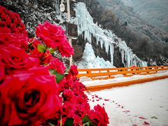 -少华山国家森林公园