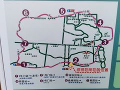 -东平国家森林公园