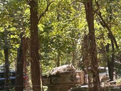 -秦皇岛野生动物园