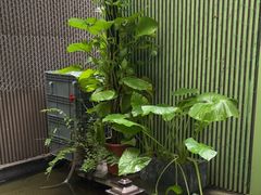 -绿房子方寸咖啡(星海名城店)