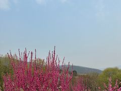 -北京西山国家森林公园