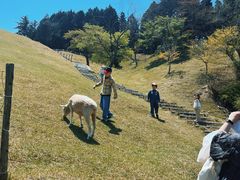 -神户市立六甲山牧场
