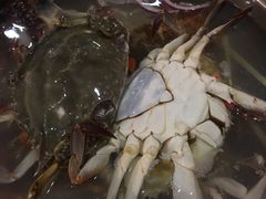 -春华海鲜城(广场西苑店)