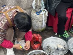 -晓琦农家菜馆·地道农家菜