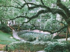 -香港大学