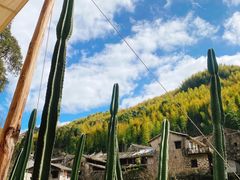 -MOJ coffee(瓯海泽雅水碓坑店)