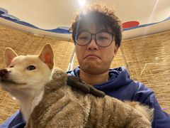 -南京Hallo宠物乐园·哈罗犬舍·柴犬繁育基地