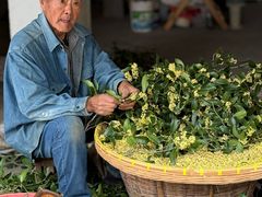 -苏州市吴中区光福窑上花果蜜饯厂