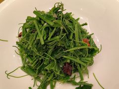 -沪碟·精菜坊(闵行店)