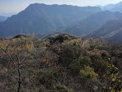 -大岭沟猕猴桃谷风景区