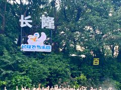 -广州长隆飞鸟乐园