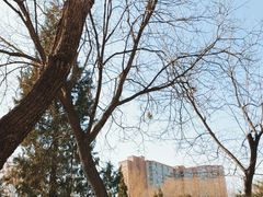 -南长河公园