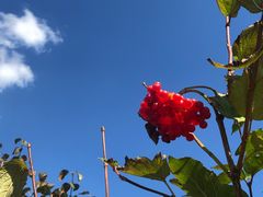 -天女山森林公园
