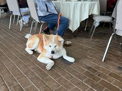 -全记海鲜菜馆(海傍街店)